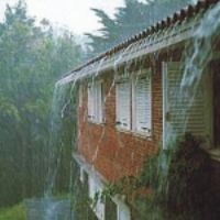 Jardí amb baix consum d'aigua a Figueres-Alt-Empordà jardi-figueres-amb-aigua-de-pluja