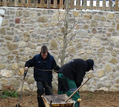 Elements-vegetals-construccio-nou-jardi-girona